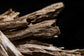 Jumbo Muri Agarwood (Oud) Chips