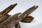 Ant Wood Agarwood (Oud) Chips Super Special